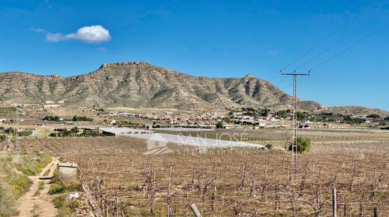 Alicante - La Columna - 11040m2