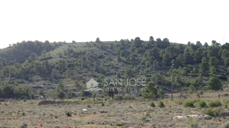 Alicante - Hondón de las Nieves - 17900m2