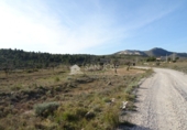 Terreny no urbanitzable en venda a la España, el Fondó de les Neus, ref.: TR2959 foto