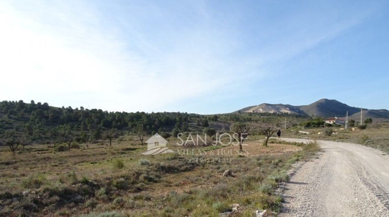Alicante - Hondón de las Nieves - 17900m2