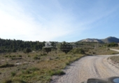 Terreny no urbanitzable en venda a la España, el Fondó de les Neus, ref.: TR2959 foto