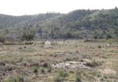 Terreny no urbanitzable en venda a la España, el Fondó de les Neus, ref.: TR2959 foto