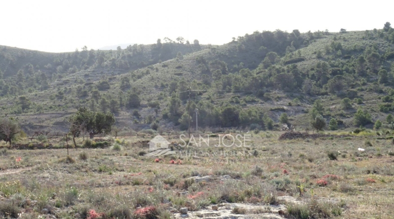 Alicante - Hondón de las Nieves - 17900m2