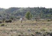 Terreny no urbanitzable en venda a la España, el Fondó de les Neus, ref.: TR2959 foto