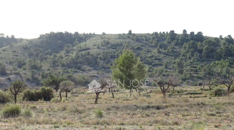 Alicante - Hondón de las Nieves - 17900m2