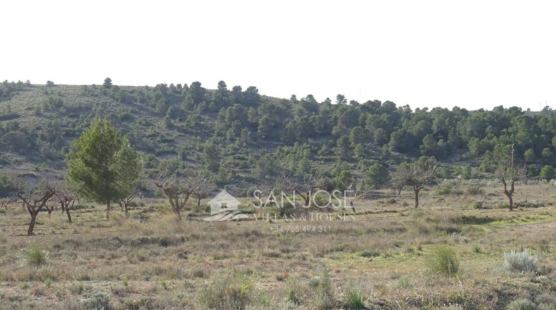Alicante - Hondón de las Nieves - 17900m2