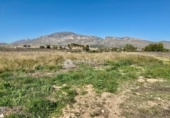 Terreny no urbanitzable en venda a la España, el Fondó de les Neus, ref.: TR2943 foto