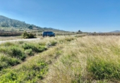Terreny no urbanitzable en venda a la España, el Fondó de les Neus, ref.: TR2943 foto