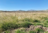Terreny no urbanitzable en venda a la España, el Fondó de les Neus, ref.: TR2943 foto