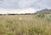 Terreny no urbanitzable en venda a la España, el Fondó de les Neus, ref.: TR2938 foto