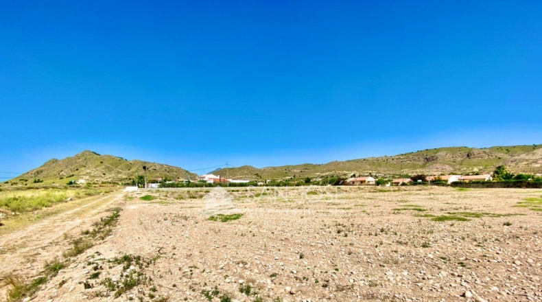 Murcia - Salado - 7300m2