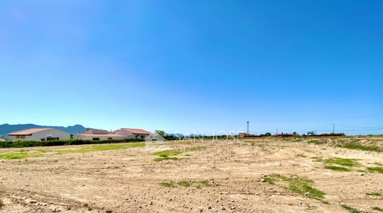 Murcia - Salado - 7300m2
