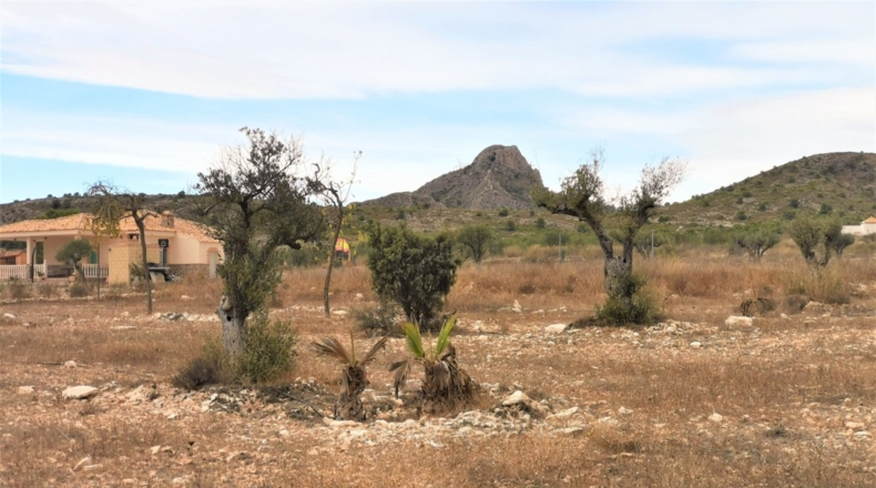 Alicante - Salinas - 10001.35m2