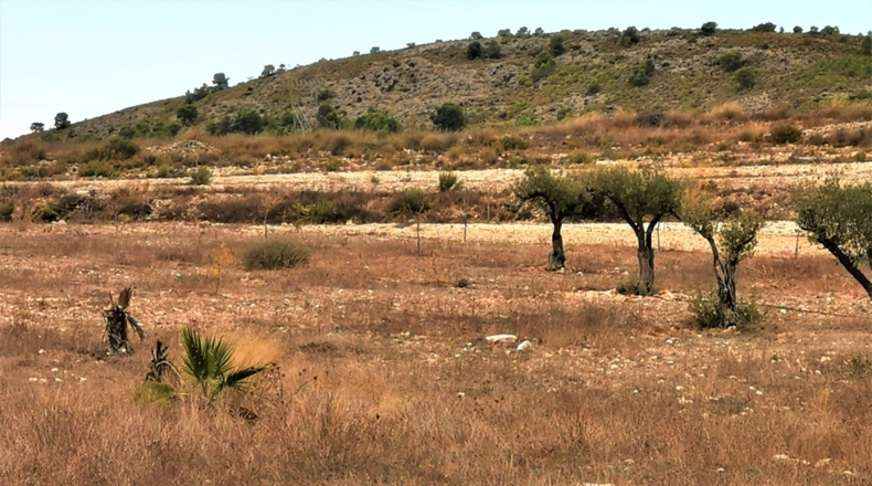 Alicante - Salinas - 10001.35m2