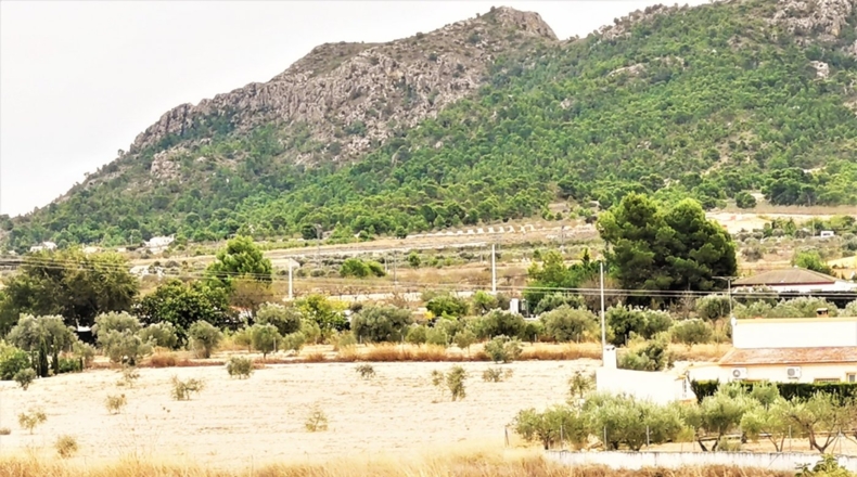 Alicante - Salinas - 10001.35m2