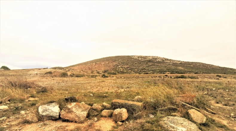 Alicante - Cañada - 170000m2