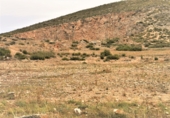 Land suitable for development for sale on España, La Canyada, ref: TR36492 photo