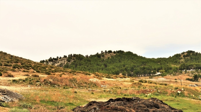 Alicante - Cañada - 170000m2