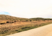 Land suitable for development for sale on España, La Canyada, ref: TR36492 photo