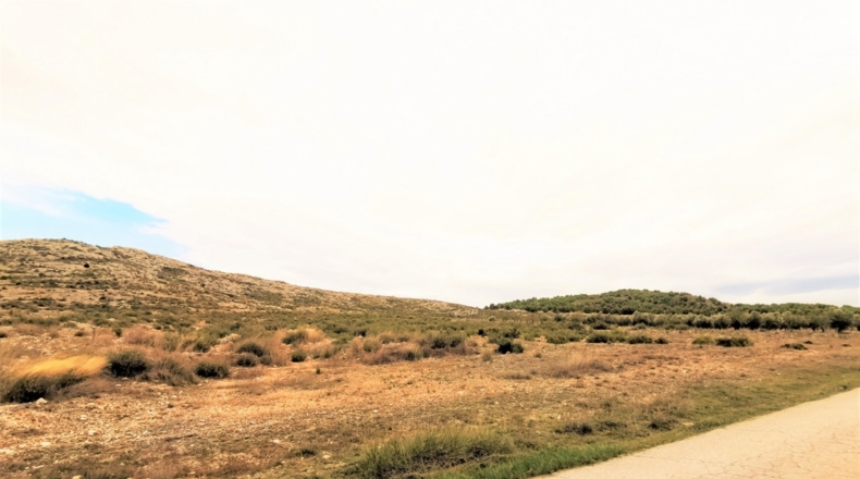 Alicante - Cañada - 170000m2