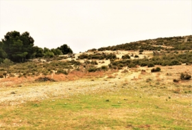 la Canyada 170000&nbsp;m² 