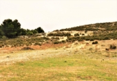 Land suitable for development for sale on España, La Canyada, ref: TR36492 photo