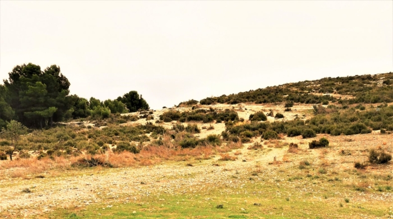 Alicante - Cañada - 170000m2