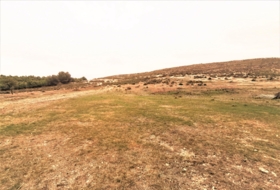 la Canyada 170000&nbsp;m² 