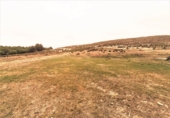 Land suitable for development for sale on España, La Canyada, ref: TR36492 photo