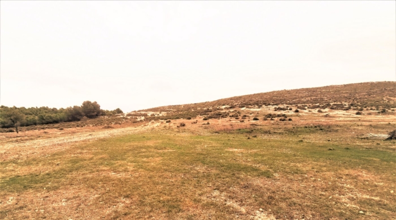 Alicante - Cañada - 170000m2
