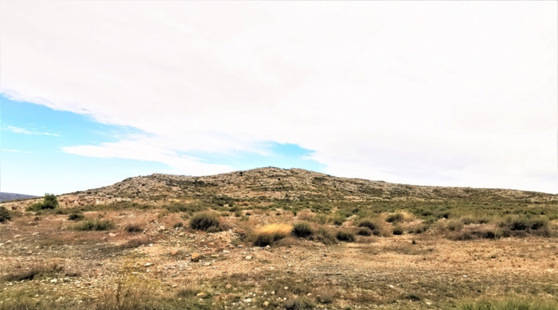 Alicante - Cañada - 170000m2