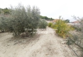 Chalet independiente con terreno en venta en la España, Aspe, ref: TR99066 foto