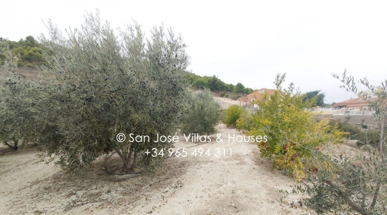 Alicante - Aspe - 1680m2