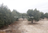 Chalet independiente con terreno en venta en la España, Aspe, ref: TR99066 foto