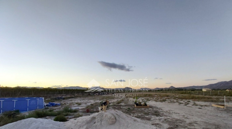 Alicante - Aspe - 6330m2