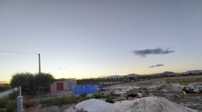 Alicante - Aspe - 6330m2
