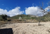 Land suitable for development for sale on España, Monóvar, ref: TR33009 photo