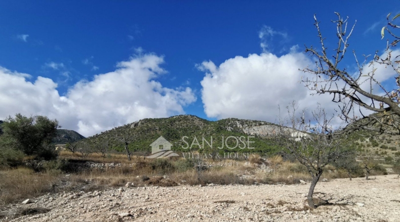 Alicante - Monóvar - 16059m2