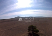 Finca rústica en venta en la España, Yecla, ref: TR3037 foto