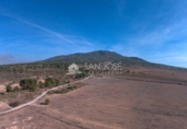 Finca rústica en venta en la España, Yecla, ref: TR3037 foto