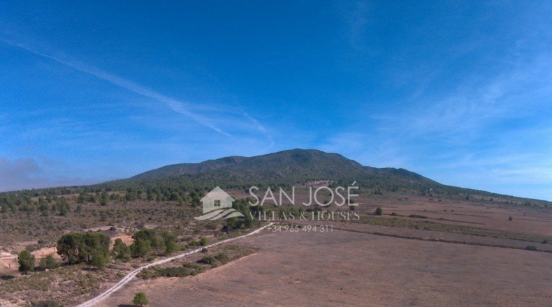 Murcia - Yecla - 408000m2
