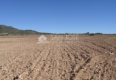 Finca rústica en venta en la España, Yecla, ref: TR3037 foto