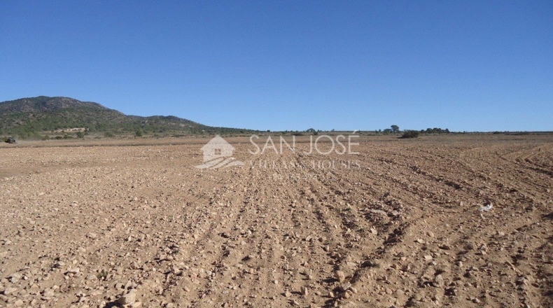 Murcia - Yecla - 408000m2