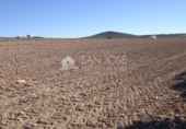 Finca rústica en venta en la España, Yecla, ref: TR3037 foto