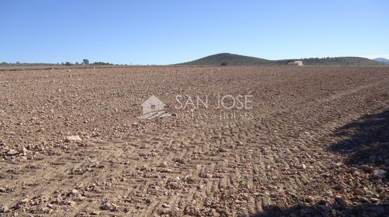 Murcia - Yecla - 408000m2