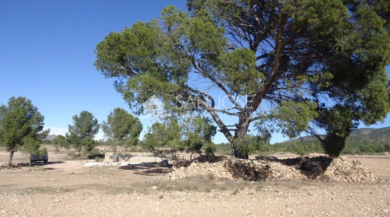 Murcia - Yecla - 408000m2