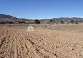 Finca rústica en venta en la España, Yecla, ref: TR3037 foto