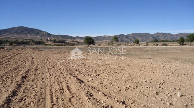 Murcia - Yecla - 408000m2