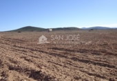 Finca rústica en venta en la España, Yecla, ref: TR3037 foto