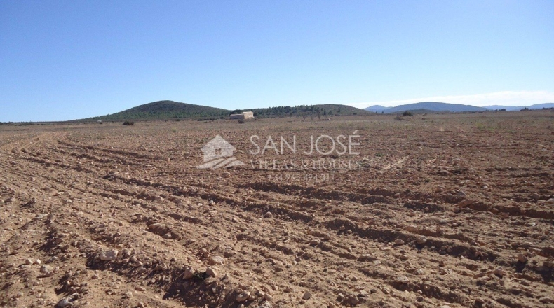 Murcia - Yecla - 408000m2